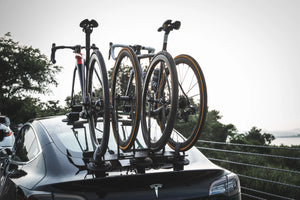 TreeFrog L2 Front Wheel Holder